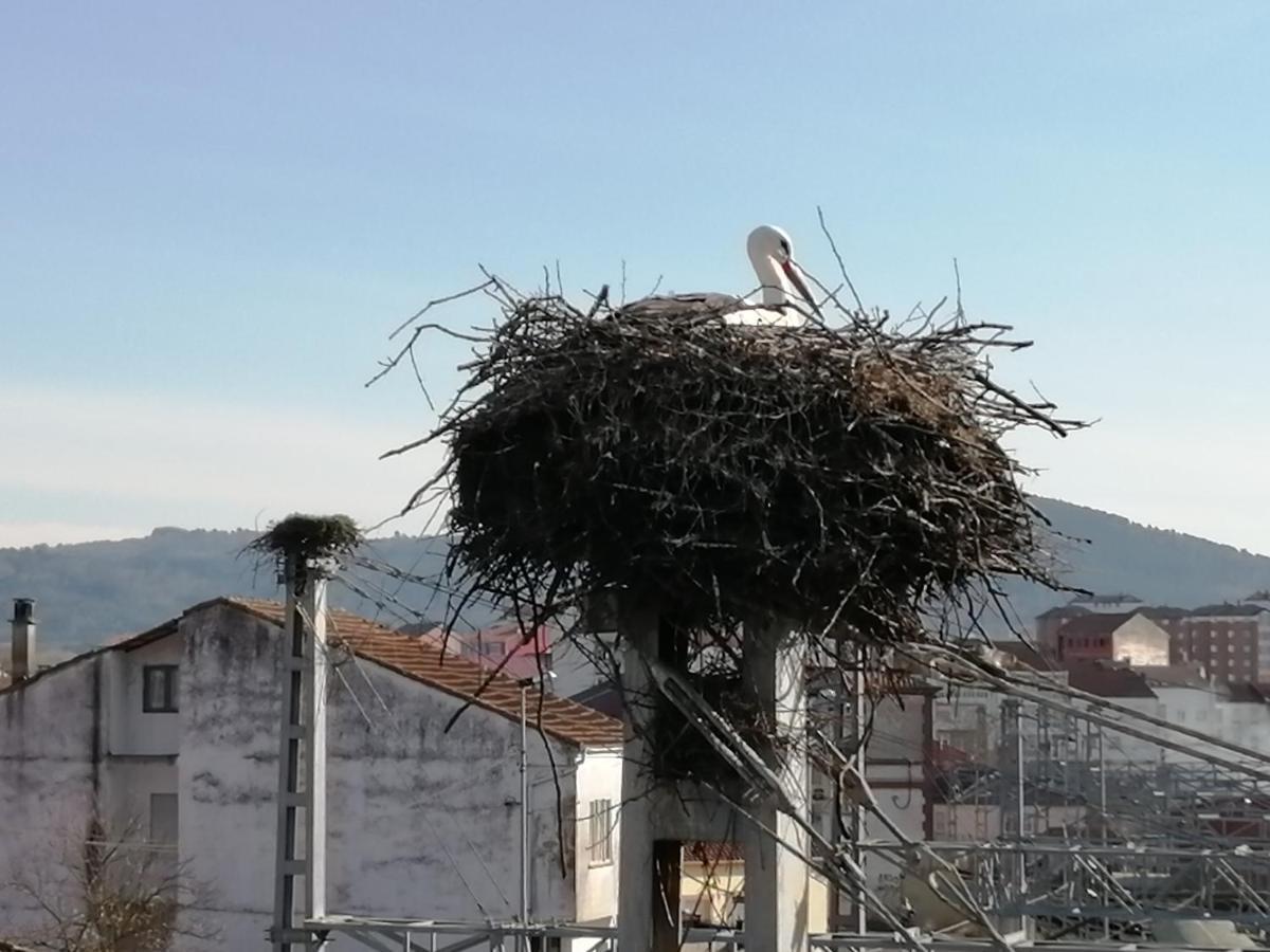 Apartamento Lemavos Monforte De Lemos Eksteriør billede